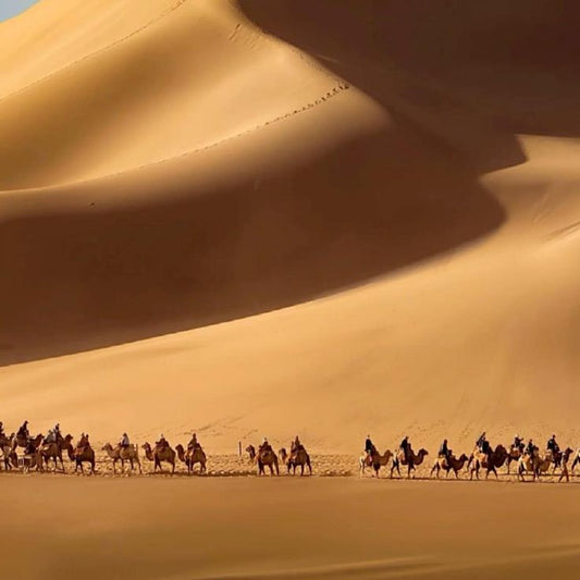 Echoes of Dunhuang: A 7-Day Silk Road Cultural Odyssey